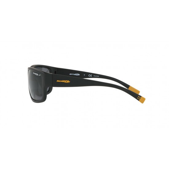 ARNETTE 4256 01/81 BUSHWICK POLARIZED ARNETTE 4256 01/81 BUSHWICK POLARIZED