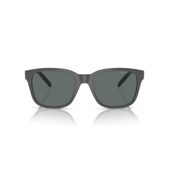 ARNETTE SURRY H AN4320 287081 ARNETTE SURRY H AN4320 287081