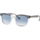 RAY BAN RB2298 13553F HAWKEYE - RAYBAN