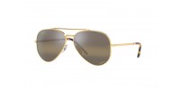 Ray Ban RB3625 9196G5 Polarized CROMANCE NEW Aviator