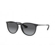 Ray Ban RB4171 622/T3 ERIKA Ray Ban RB4171 622/T3 ERIKA