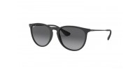 Ray Ban RB4171 622/T3 ERIKA