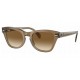 Ray Ban RB0707S 664051