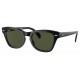 Ray Ban RB0707S 901/31