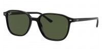 Ray Ban Leonard RB2193 901/31