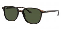 Ray Ban Leonard RB2193 902/31
