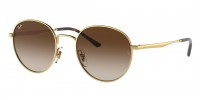 Ray Ban RB3681 001/13