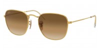 Ray Ban Frank RB3857 919651