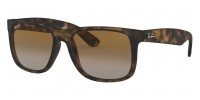 Ray Ban RB4165 865/T5 Polarized JUSTIN