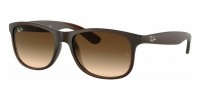 Ray Ban Andy RB4202 607313