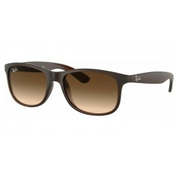 Ray Ban Andy RB4202 607313