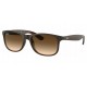 Ray Ban Andy RB4202 607313 - RAYBAN