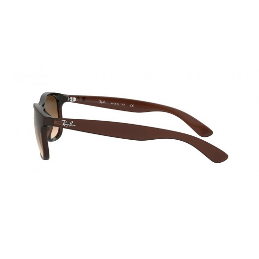 Ray Ban Andy RB4202 607313 - RAYBAN