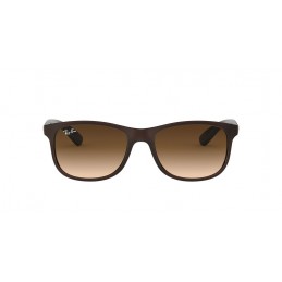 Ray Ban Andy RB4202 607313