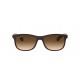 Ray Ban Andy RB4202 607313 - RAYBAN