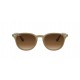 Ray Ban  RB4259 6166/13 - RAYBAN