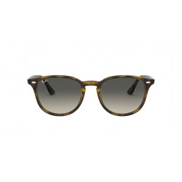 Ray Ban RB4259 710/11