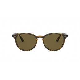 Ray Ban  RB4259 710/73 