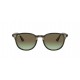 Ray Ban RB4259 731/E8 - RAYBAN