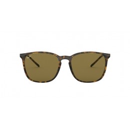 Ray Ban RB4387 710/73 