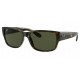 Ray-Ban RB4388 710/31 - RAYBAN