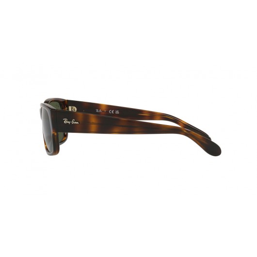 Ray-Ban RB4388 710/31 - RAYBAN