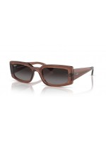 Ray Ban Kiliane RB4395 6678T3