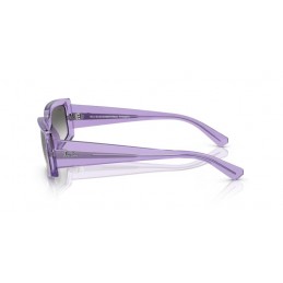 Ray Ban Kiliane RB4395 66858E