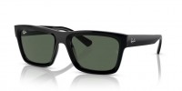Ray Ban WARREN RB4396 667771