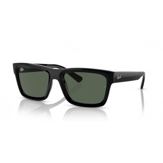 Ray Ban WARREN RB4396 667771