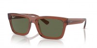 Ray Ban WARREN RB4396 66789A