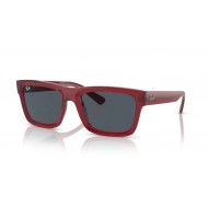Ray Ban WARREN RB4396 667987 Ray Ban WARREN RB4396 667987