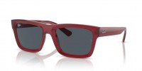 Ray Ban WARREN RB4396 667987