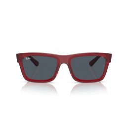 Ray Ban WARREN RB4396 667987 Ray Ban WARREN RB4396 667987