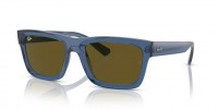 Ray Ban WARREN RB4396 668073