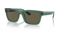 Ray Ban WARREN RB4396 6681/3
