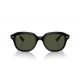 Ray Ban ERIK RB4398 901/31