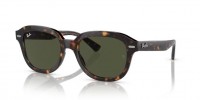 Ray Ban ERIK RB4398 902/31