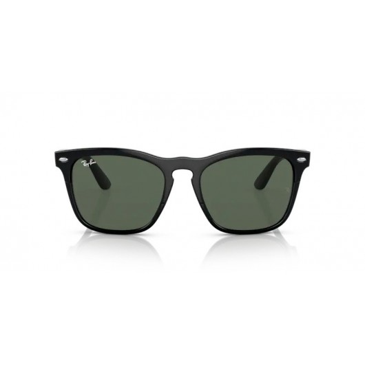 Ray Ban Steve RB4487 662971