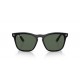 Ray Ban Steve RB4487 662971