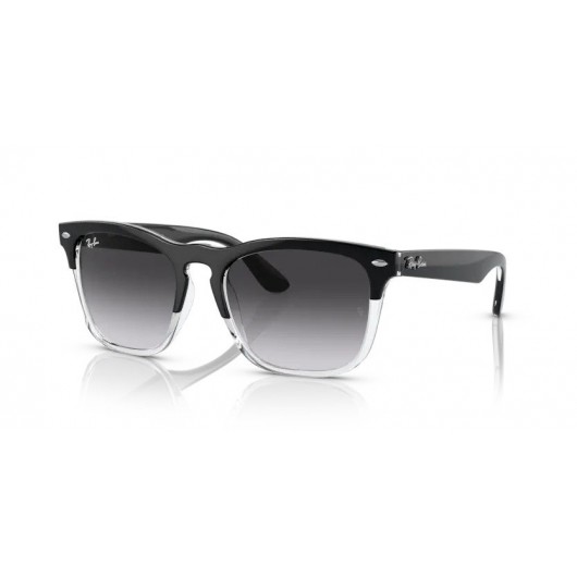 Ray Ban Steve RB4487 66308G Ray Ban Steve RB4487 66308G