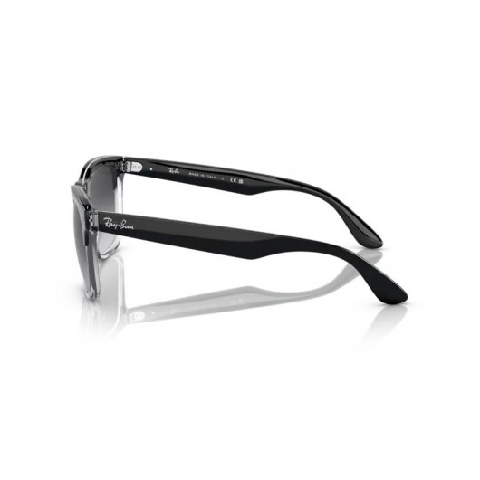 Ray Ban Steve RB4487 66308G Ray Ban Steve RB4487 66308G