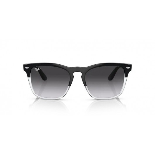 Ray Ban Steve RB4487 66308G Ray Ban Steve RB4487 66308G