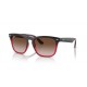 Ray Ban Steve RB4487 663113