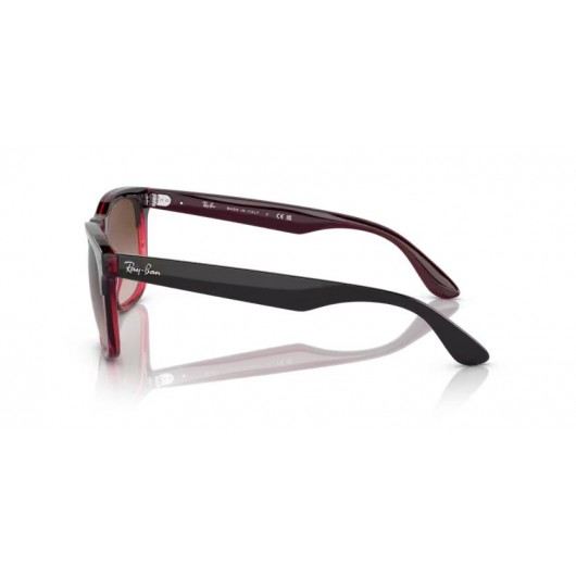 Ray Ban Steve RB4487 663113 Ray Ban Steve RB4487 663113