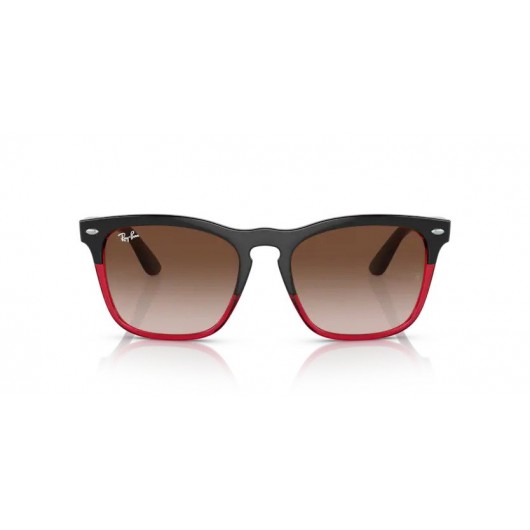 Ray Ban Steve RB4487 663113