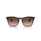 Ray Ban Steve RB4487 663113