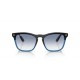 Ray Ban Steve RB4487 663219