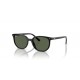 Ray Ban Junior Junior ELLIOT RJ9097S 100/71