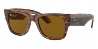 Ray Ban MEGA WAYFARER RB0840S 954/33